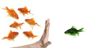 Eelarvamused..milleks?