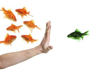 Eelarvamused..milleks?