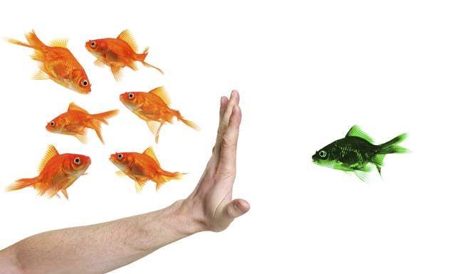 Eelarvamused..milleks?