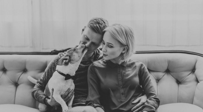 Mis toimub raseda inimese peas?