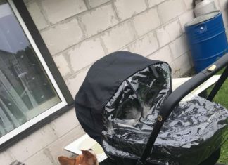 Lugu sellest, kuidas ma traktori alla jäin ehk minu SÜNNITUSLUGU