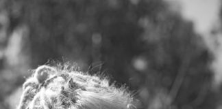 PIKAD JUUUU(HTMED)KSED