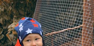 Rongaema? Reisimõtteid