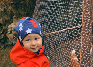 Rongaema? Reisimõtteid