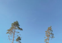 Miks? Kuhu? Kuidas? Millal?