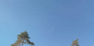 Miks? Kuhu? Kuidas? Millal?