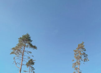 Miks? Kuhu? Kuidas? Millal?