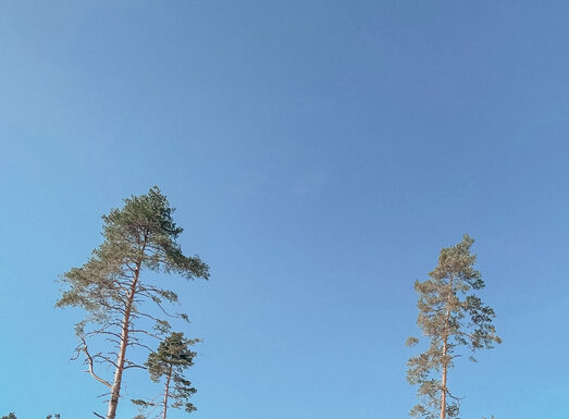 Miks? Kuhu? Kuidas? Millal?