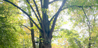 Mis siis Soome reisist meelde jäi?